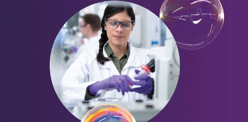 Anual report 2024